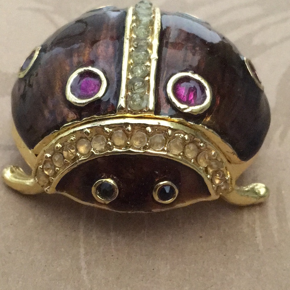 New Enamel ladybug .